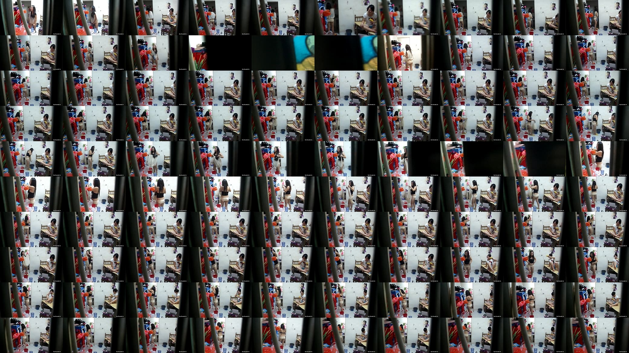 hiddencam(1) 预览图