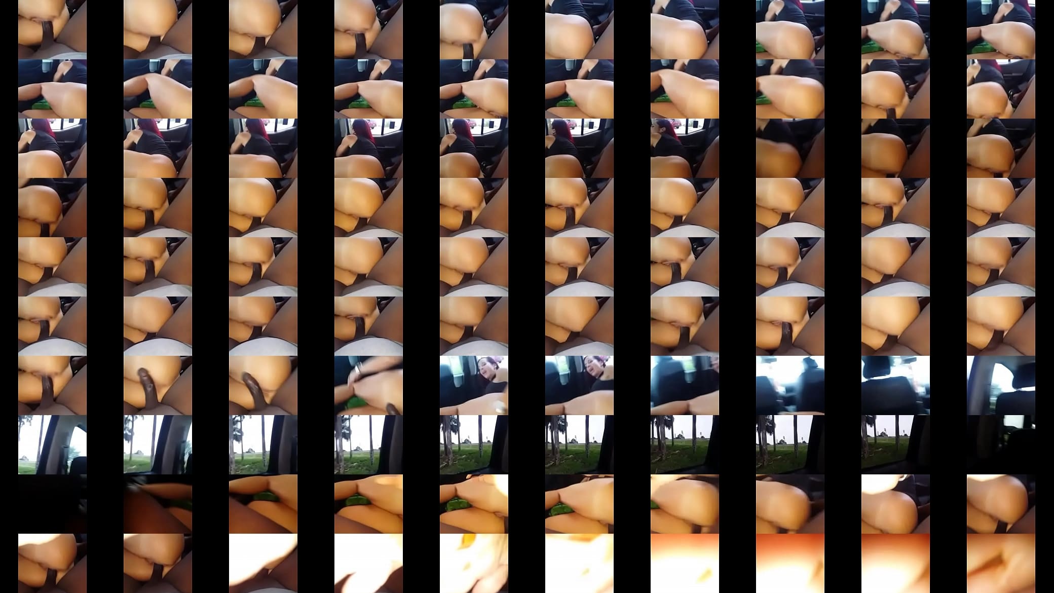 03a02335-4989-4f9a-a307-c8a31245c853 预览图