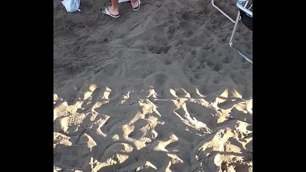 Asses on the beach