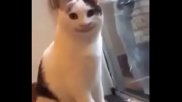 Vidéo De Vérification