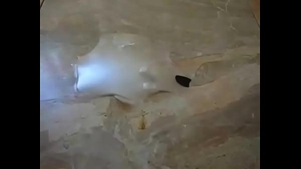 Download Video - hot guy using his flashlight&period;