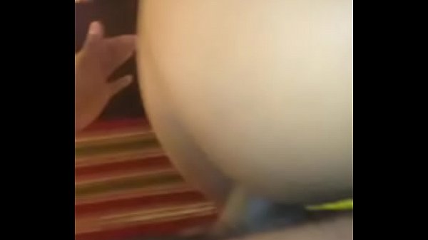 Download Video - V&iacute;deo de verificaci&oacute;n