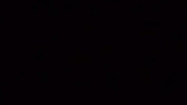 adotei trez amorzinhuz elas trabalham bem at&eacute; [24k]