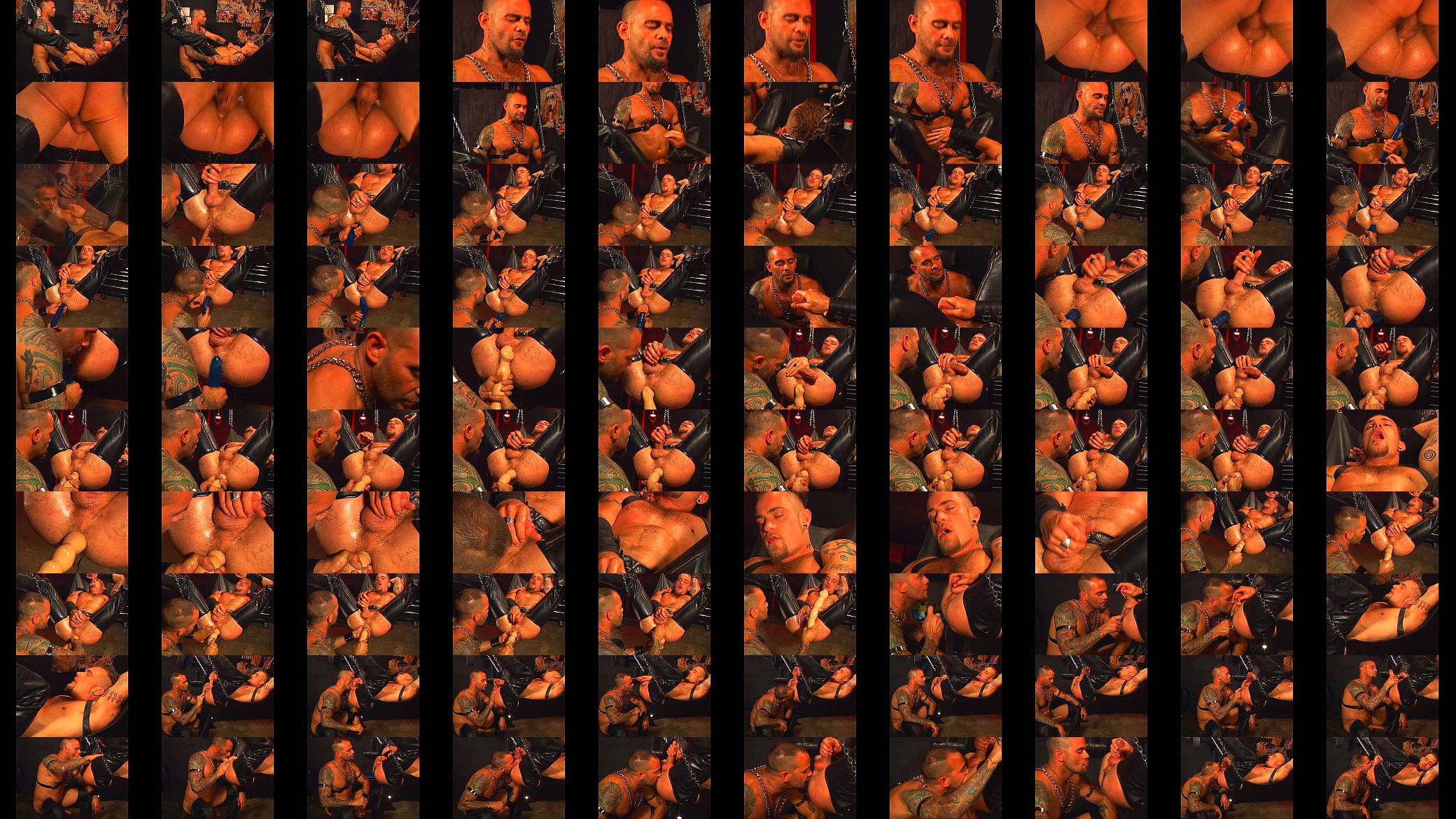 Pacific Sun - Leather Bears - scene 1 - extract 2 预览图