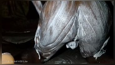 NASTY AFRICAN MAN GETTING FREAKY ON CAMERA