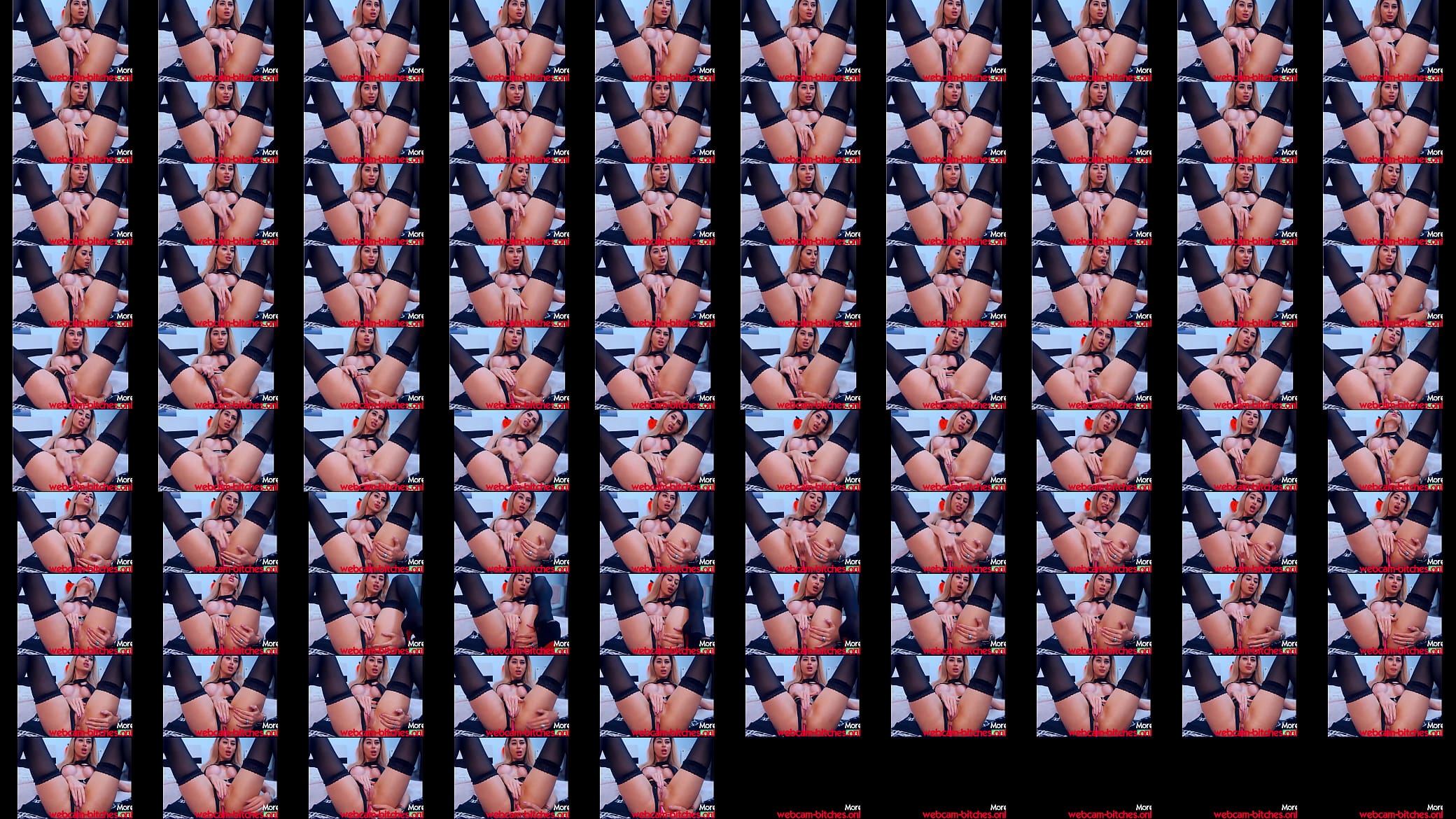 Squirting Webcam Bitch 预览图