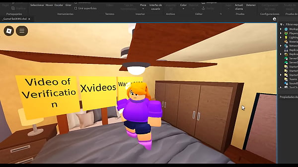 V&iacute;deo de verificaci&oacute;n