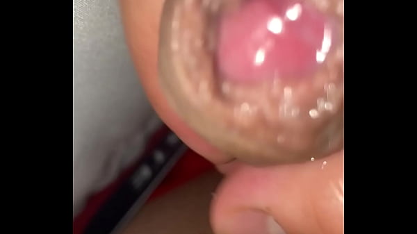 Pekeshow1620 - update #13 - IMG 8568 - Mar 02, ...