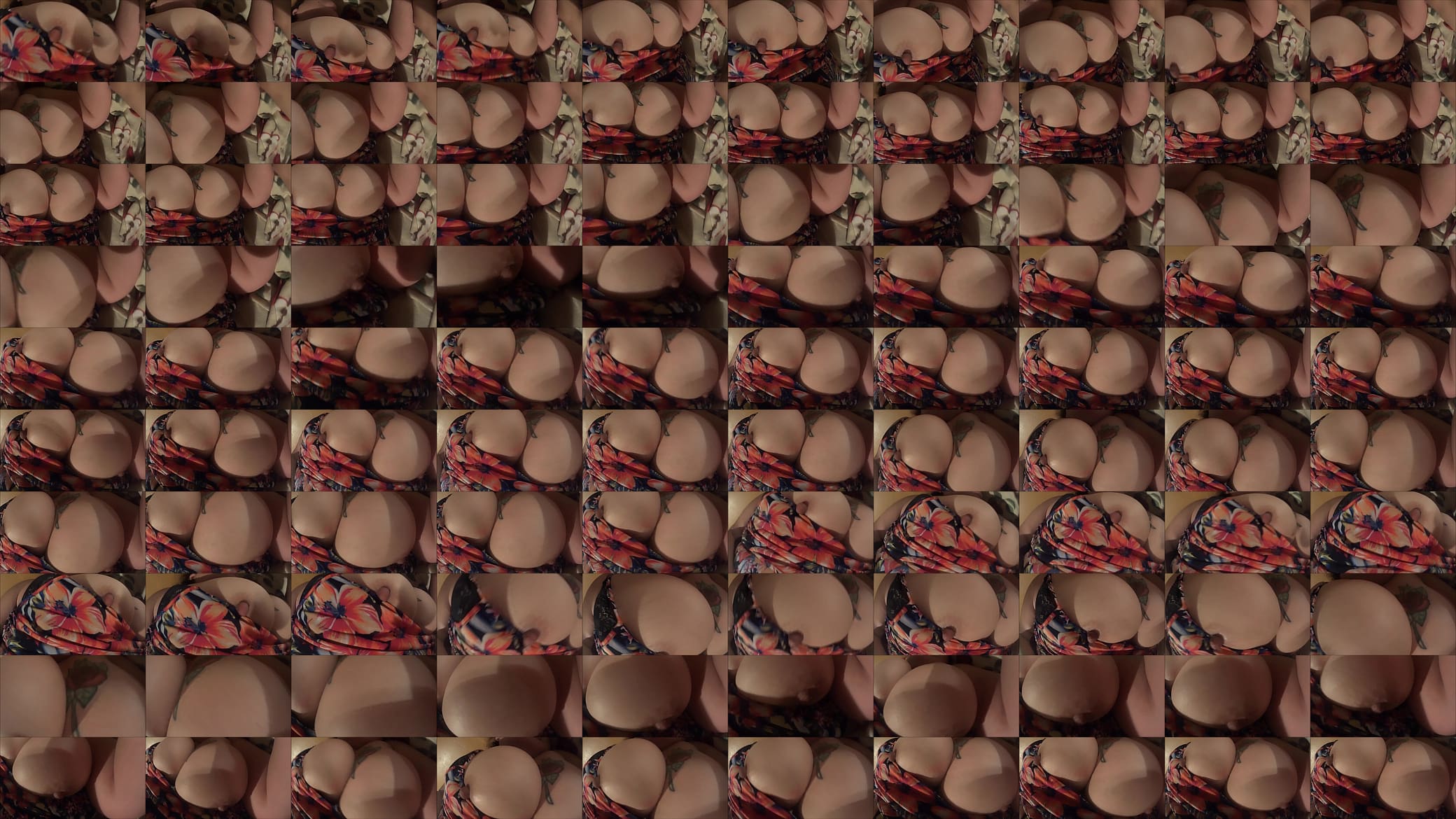 LAS GRANDES TETAS DE MI ESPOSA 预览图