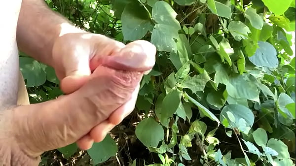 Public official stolen phone with leaked mastur...