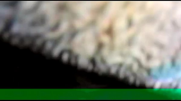 Download Video - A mi amigo si se la chupan 3