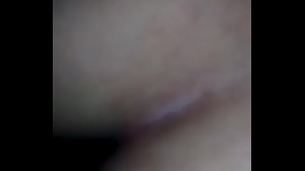  Gata Tarada