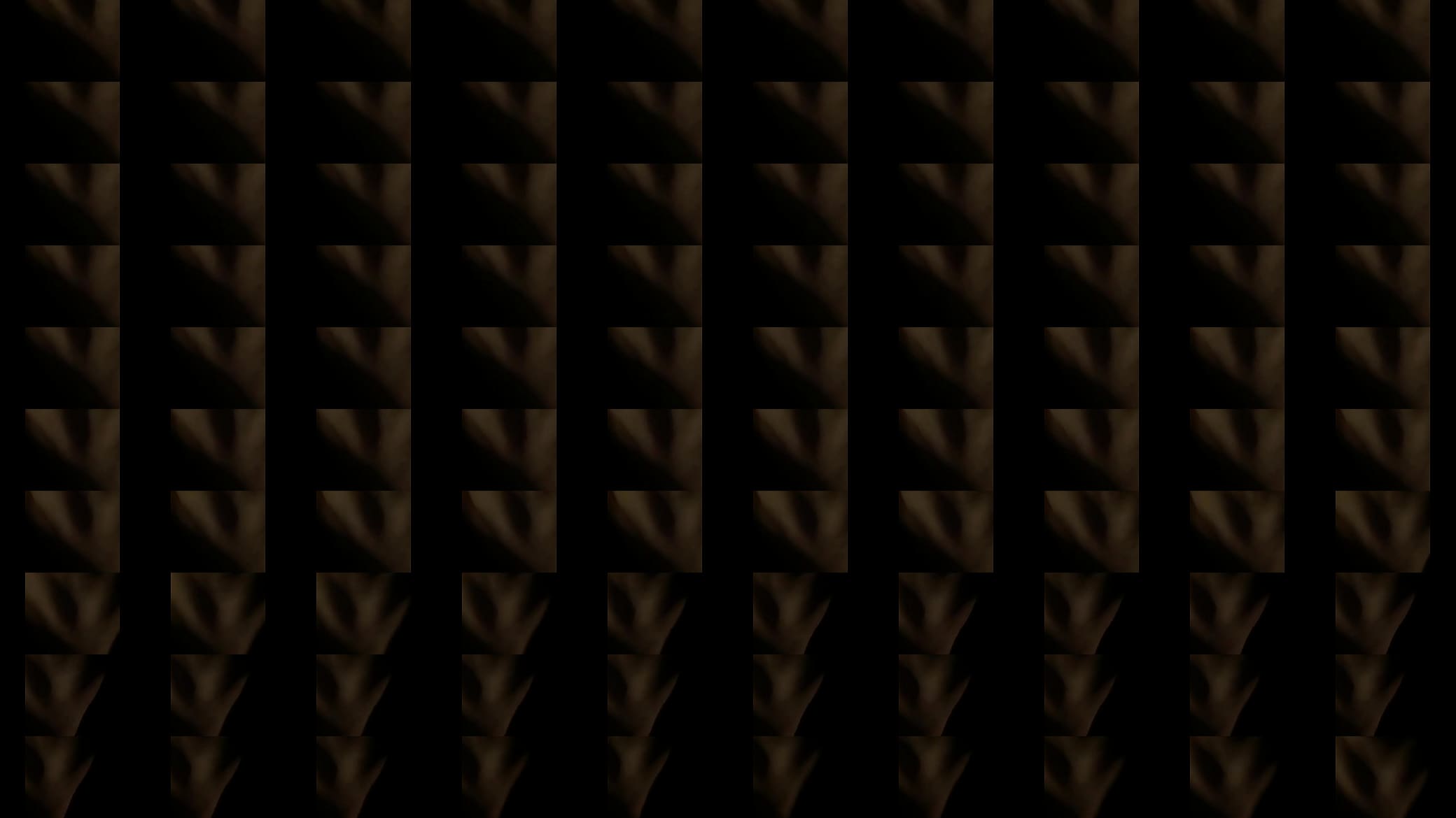 Verification video 预览图