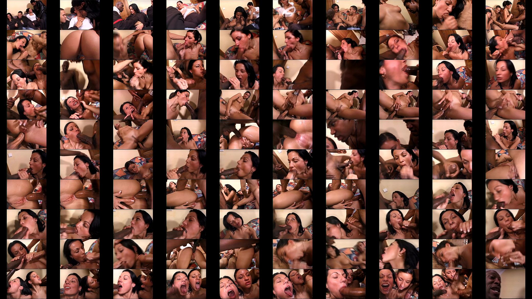 Two white sluts picked up and screwed by two blacks 预览图