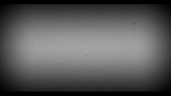 Thirty Becomes The End