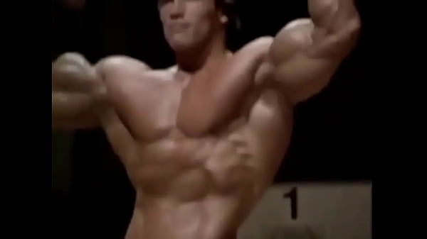 Average enjoyer meme Arnold