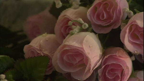 Rose petals on the bed