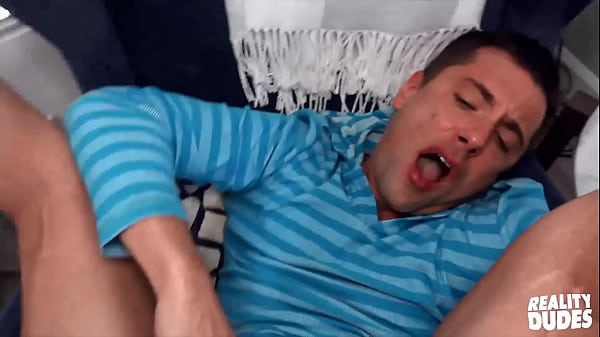 (Wolfie) Is Offered A Handsome Sum Of Money To ...