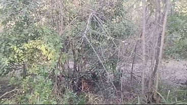 Diktok - 危険な公共の場での自慰行為