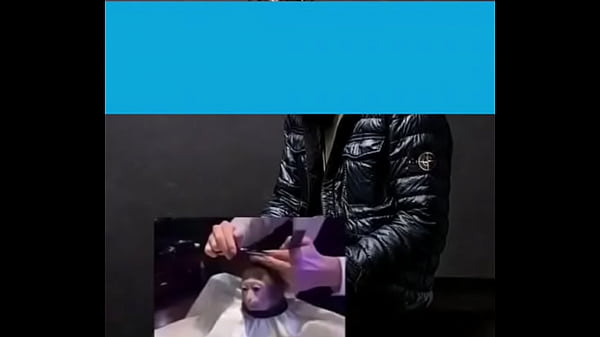 Música linda