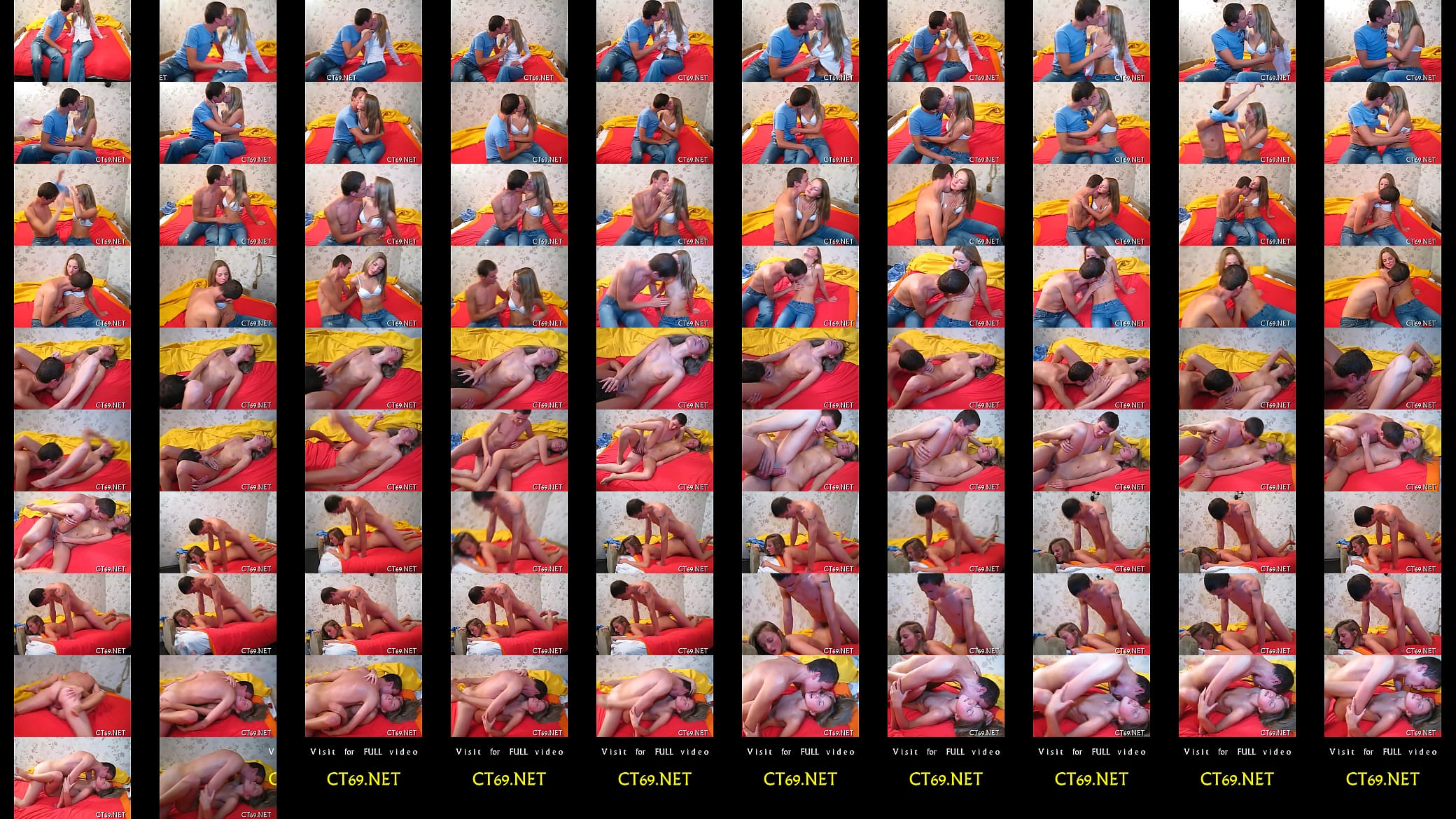 Pussy-ramming with a sexy slut 预览图