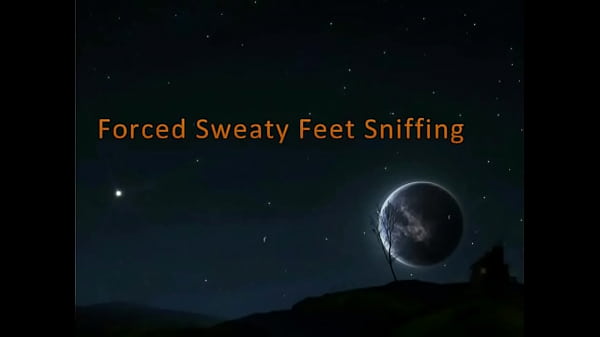 Sweaty Feet Sniffing (Fetish Obsession)