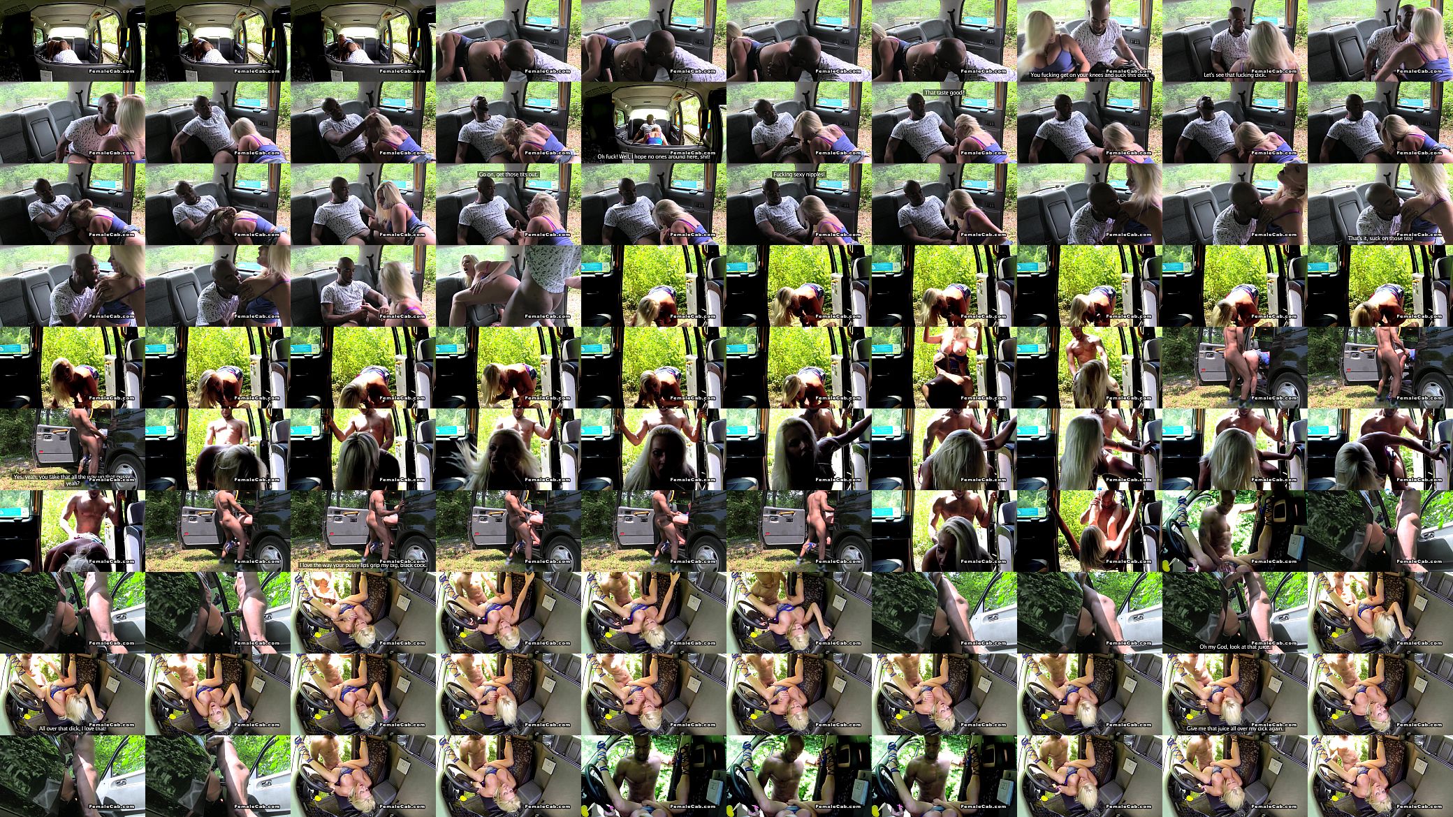 Busty cab driver fucks big black cock in woods 预览图