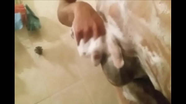 Rico baño, me ayudas? soy single de Guadalajara...