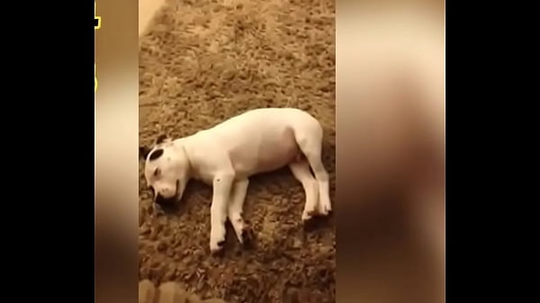 ビッチオナラ