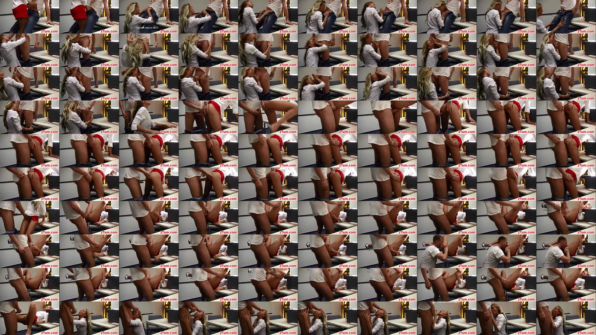 Gorgeous Air Hostess Caught Fucking Passenger on Hidden Cam 预览图