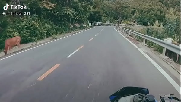 Video x&aacute;c minh