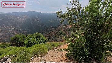 I get caught touching myself in the shower