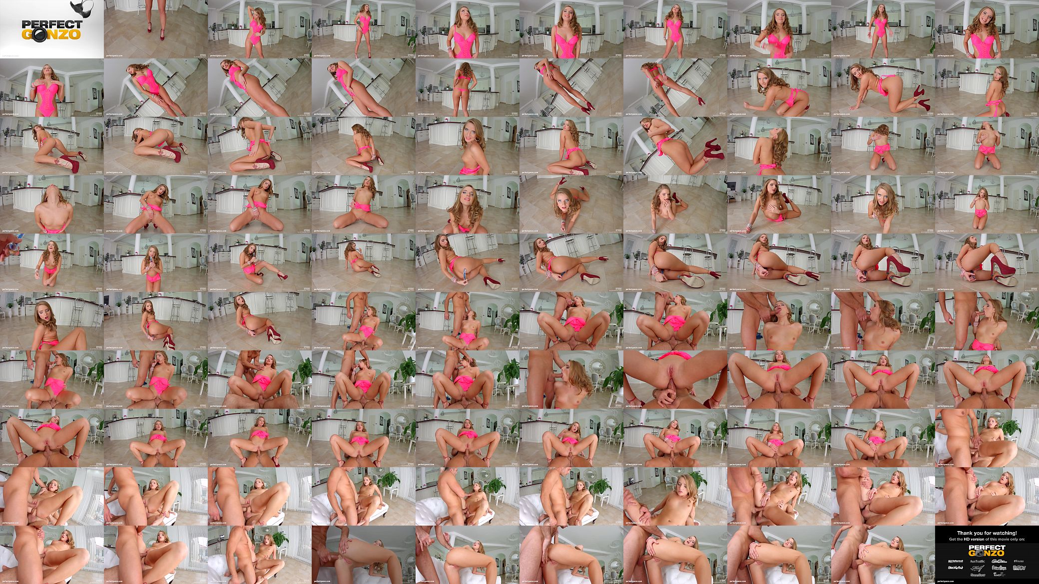 Sofi Goldfinger creampie gonzo scene by All Internal 预览图