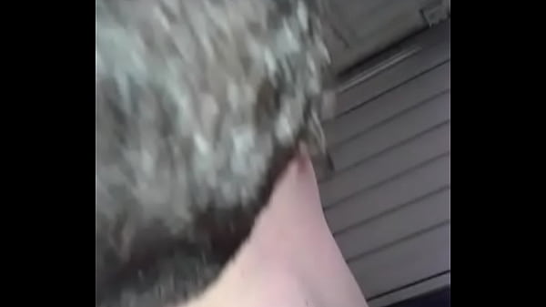 Download Video - un amigo