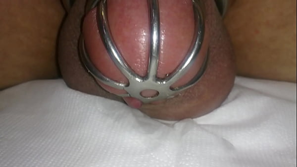 Download Video - cumming in chastity device with vibrating egg &comma;hand free cum shot &comma;cock cage cum