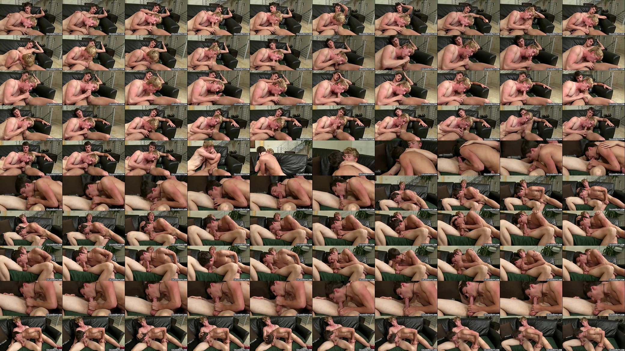 Muscular college studs are sucking eachothers cocks 预览图