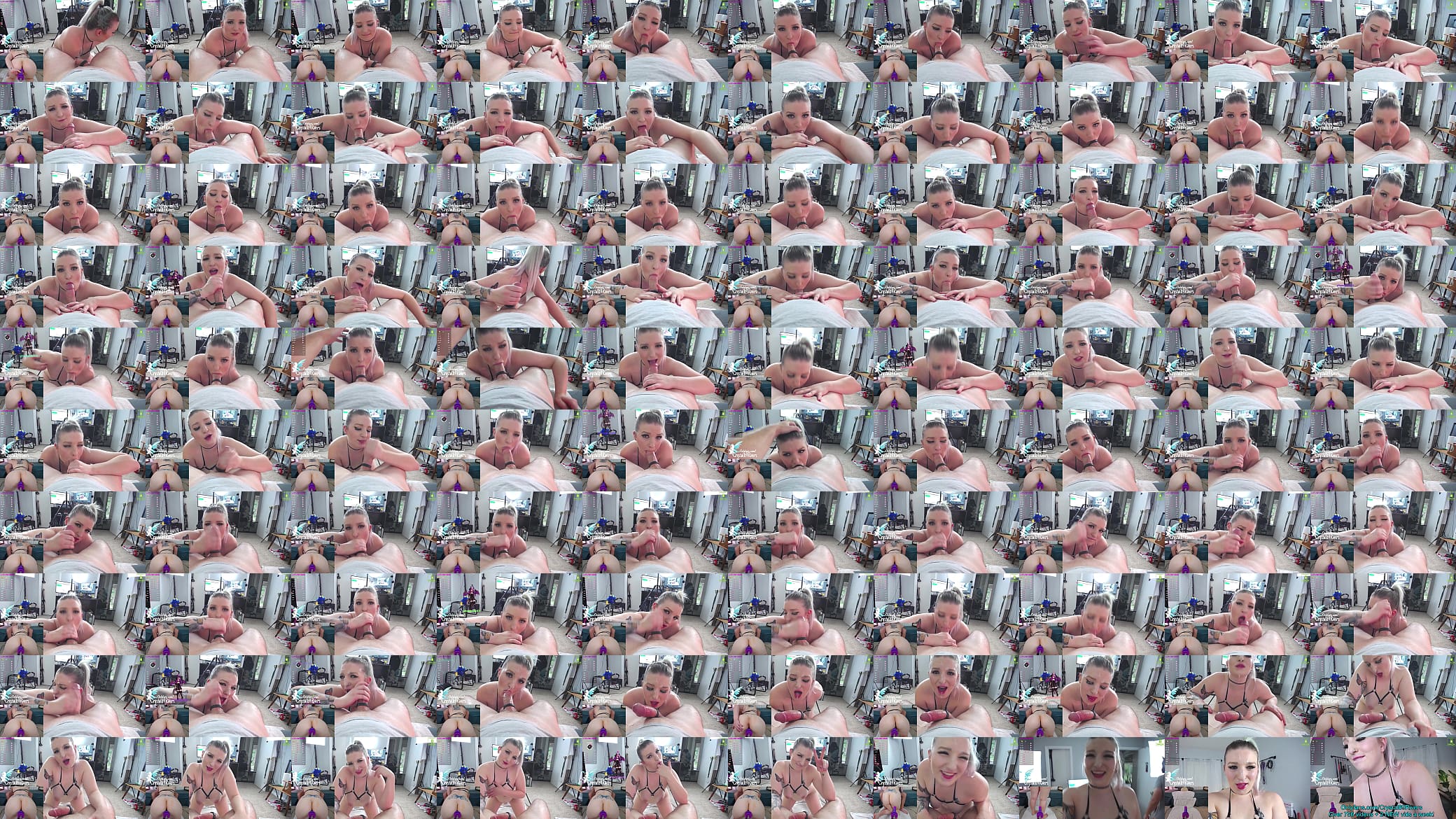 Spit Roast Cam Whore 预览图