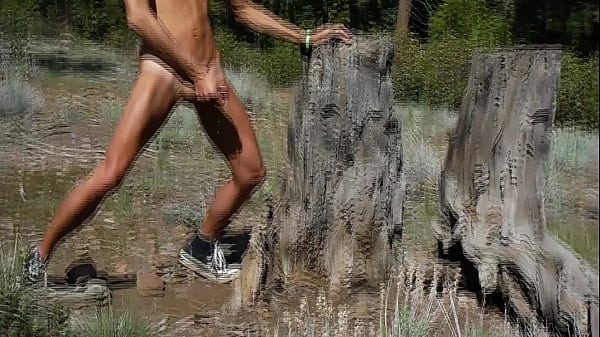 Download Video - Tree stump cum