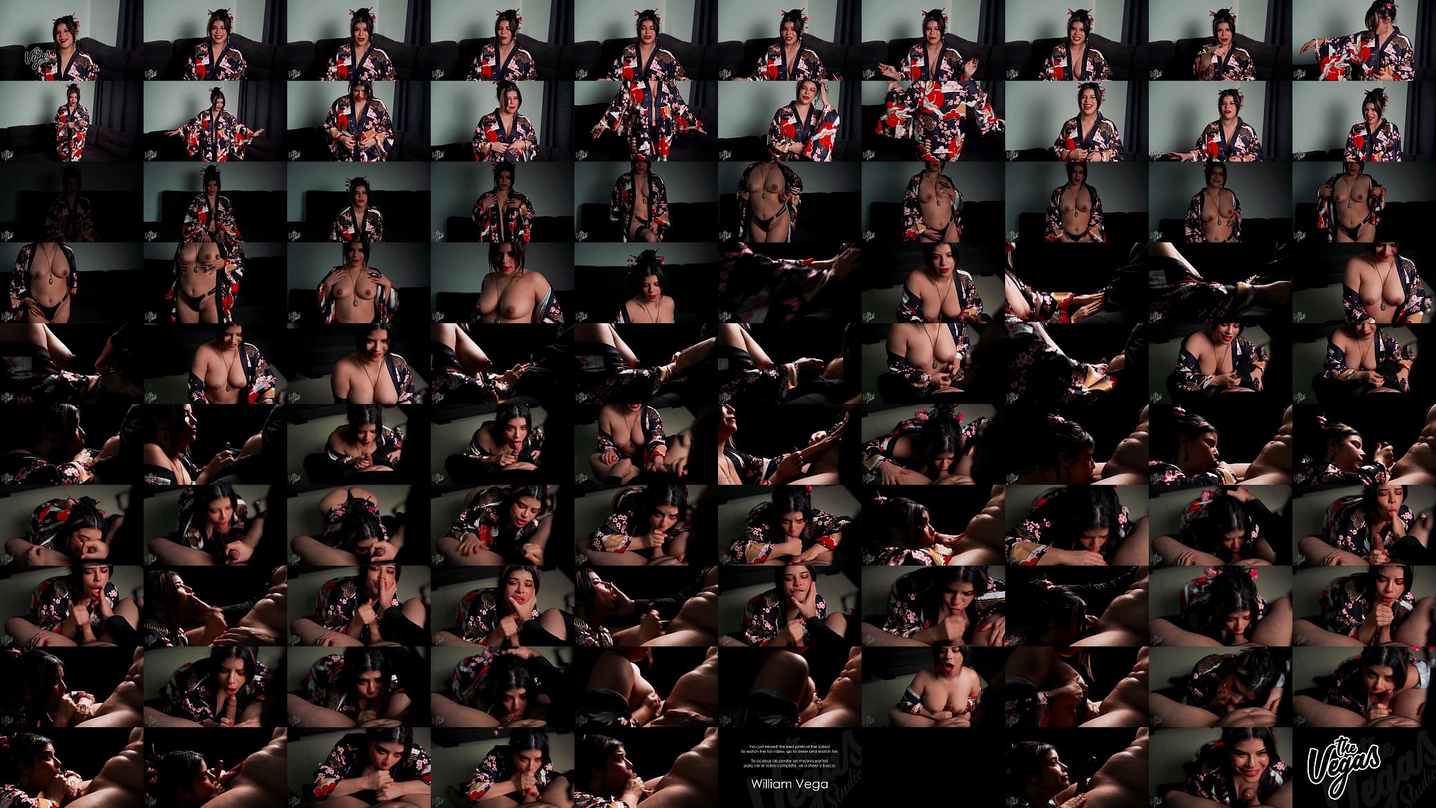 POV Pleasure at the Geisha House &ndash; Selena&rsquo;s Deepthroat Ritual 预览图