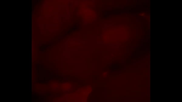 Le jalo la verga a mi amante