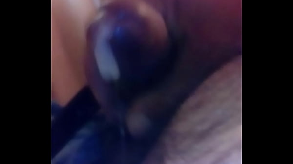 Download Video - Paja rica