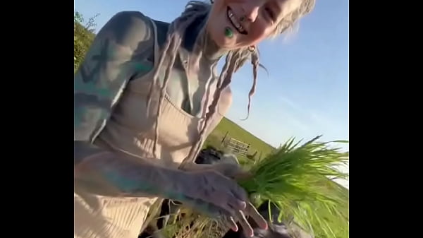 Wanderlust ? - Update #332 (2024-07-31T17:48:50.000Z)