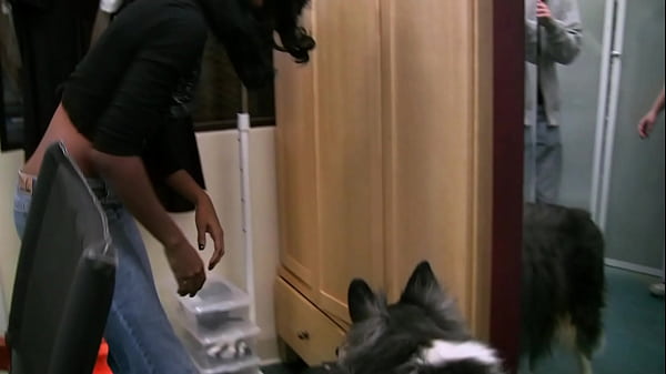 Featuring: Monica Foster;Joey Brass;Daphne Rosen;Dirty Harry;Buster Good;Harmony...