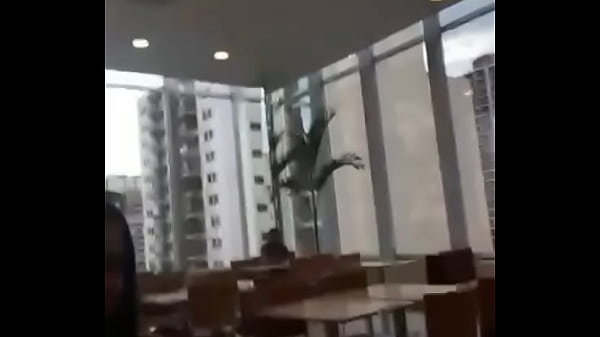 Jesissa ,emili guerra , jotinha , fidalgo mantinal , sexo de manhã. Travisseiro felipe ret