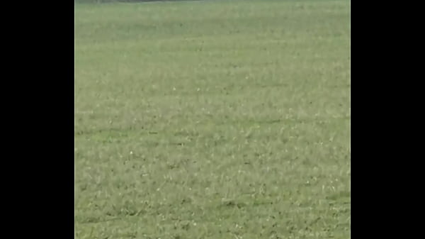 Precalentamiento pal 14 parte 2