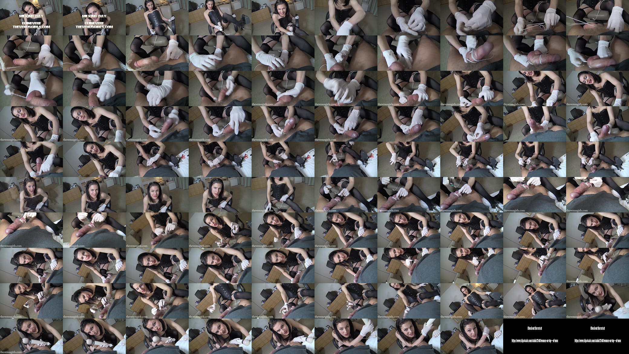Milking Day 预览图