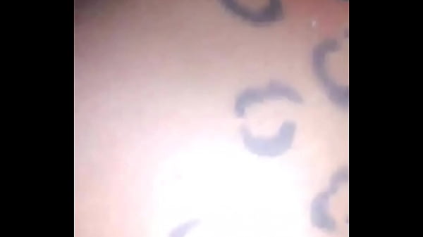 A1 pussycat