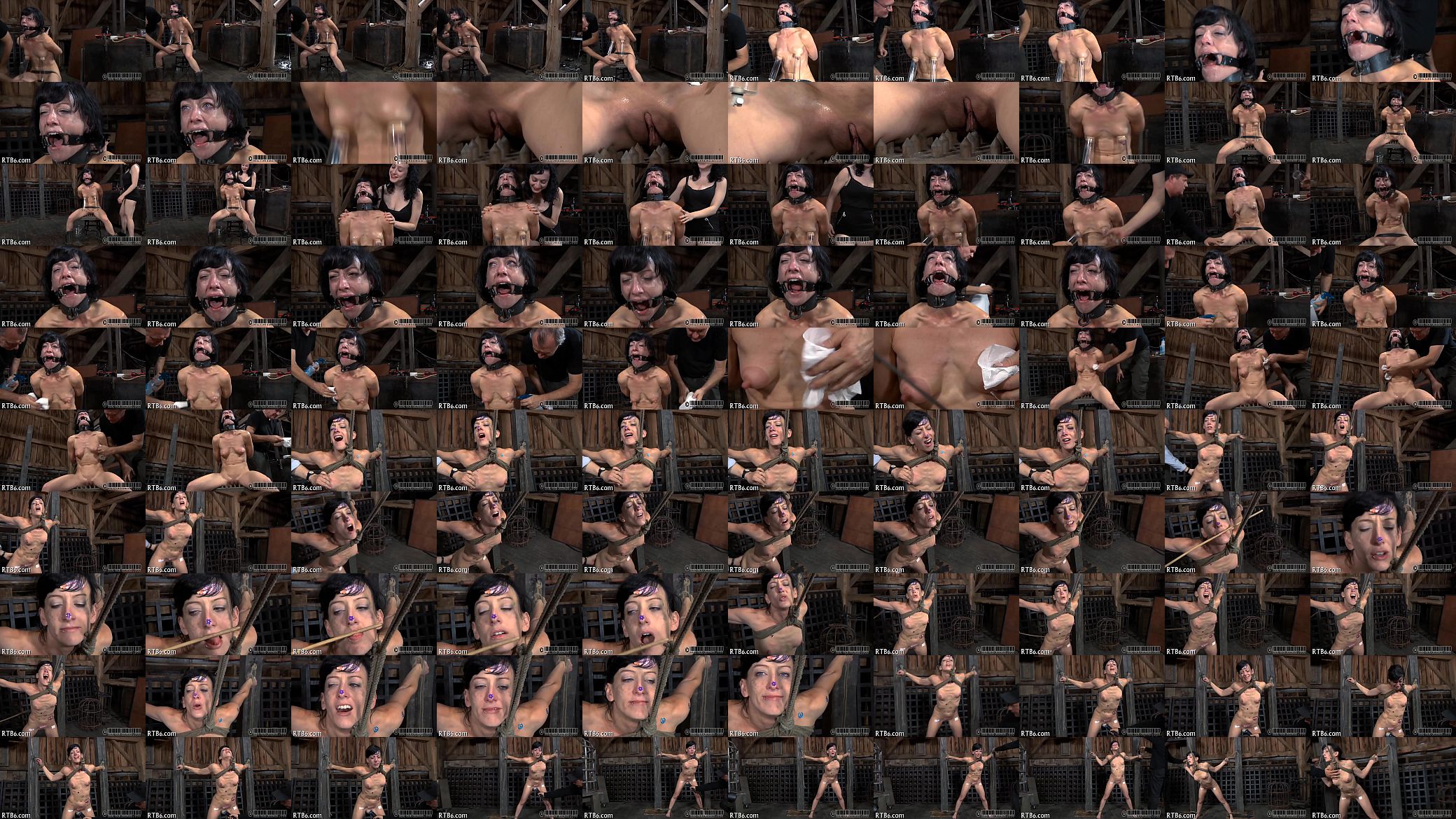 Sadomasochism harness 预览图