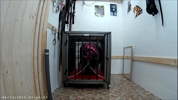 Download Video - Tamina in artgerechter K&auml;fighaltung