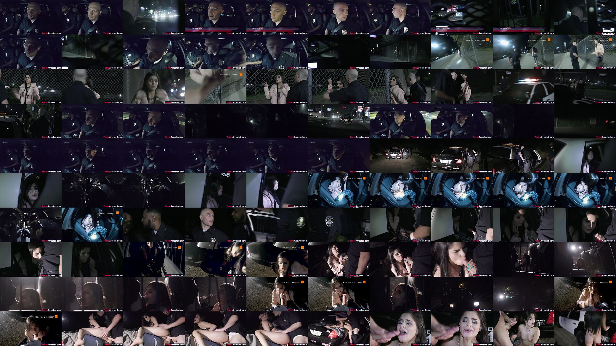Hot teen shoplifter bribes sleazy cop with a blowjob &amp; fuck 预览图